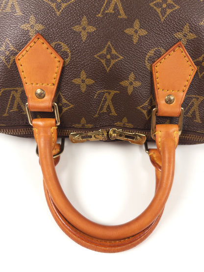 Louis Vuitton Alma Monogram