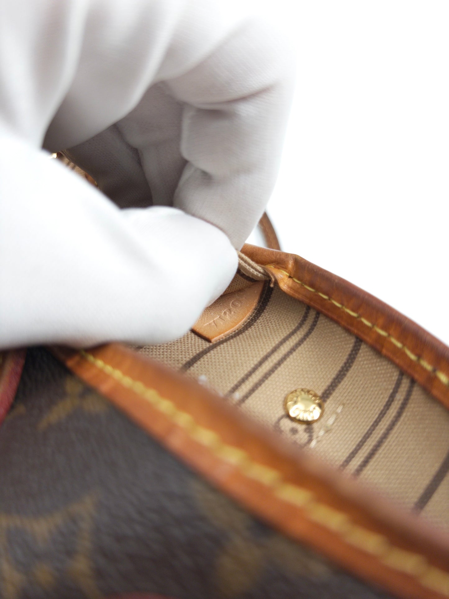 Louis Vuitton Neverfull PM Monogram