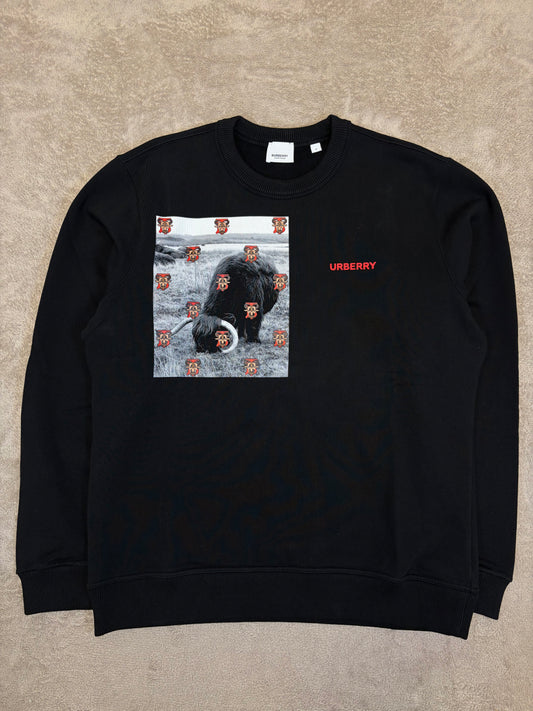 Brand New Burberry Print Sweatshirt