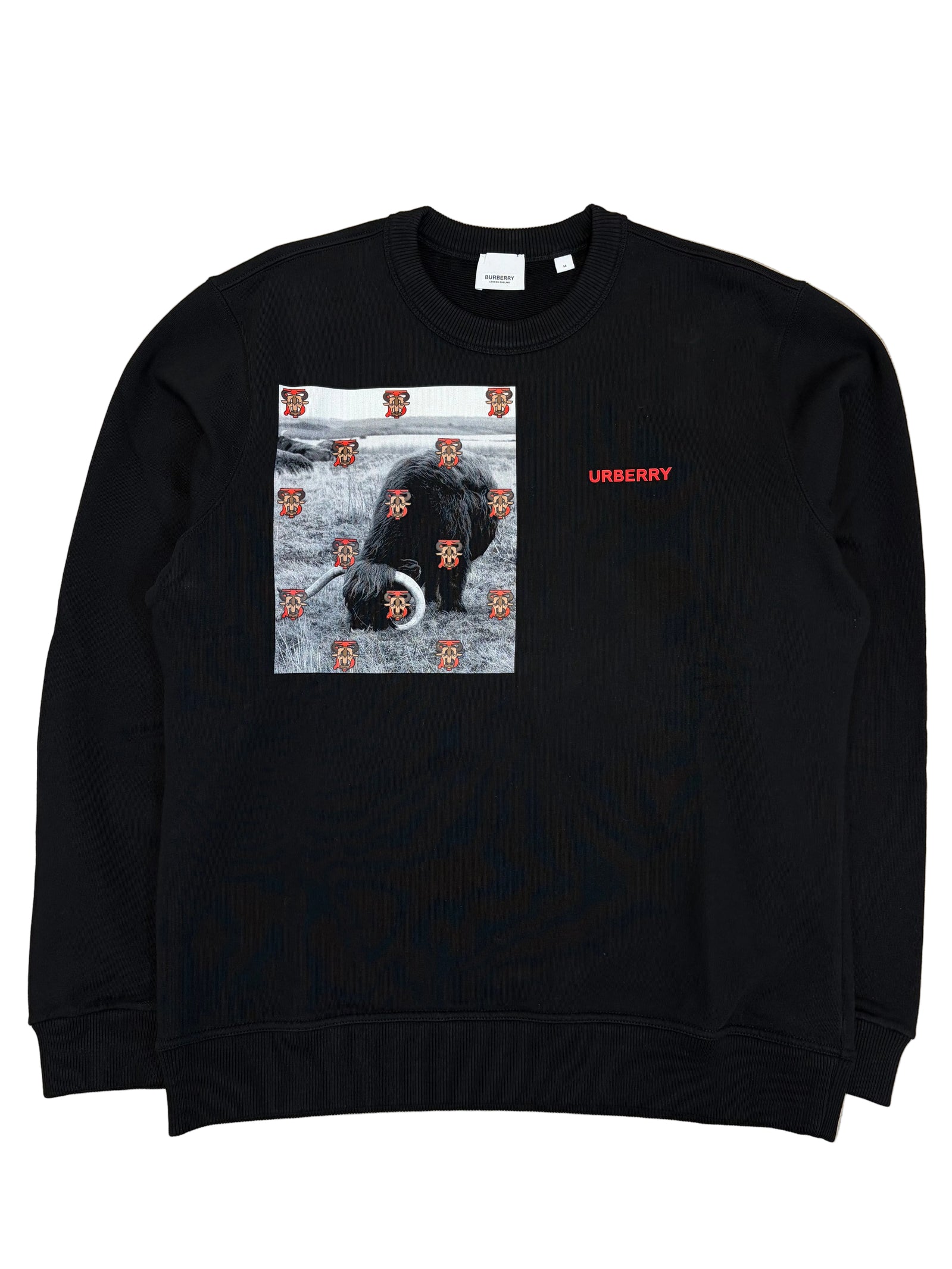 Burberry Print Sweatshirt