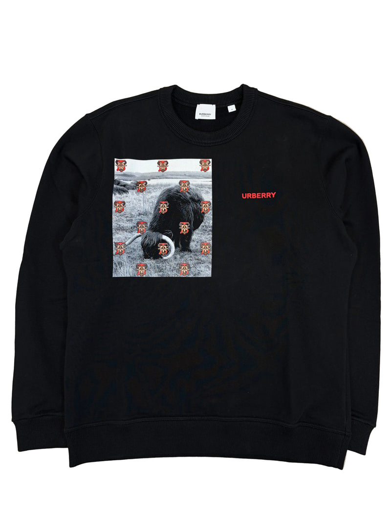 Burberry Print Sweatshirt