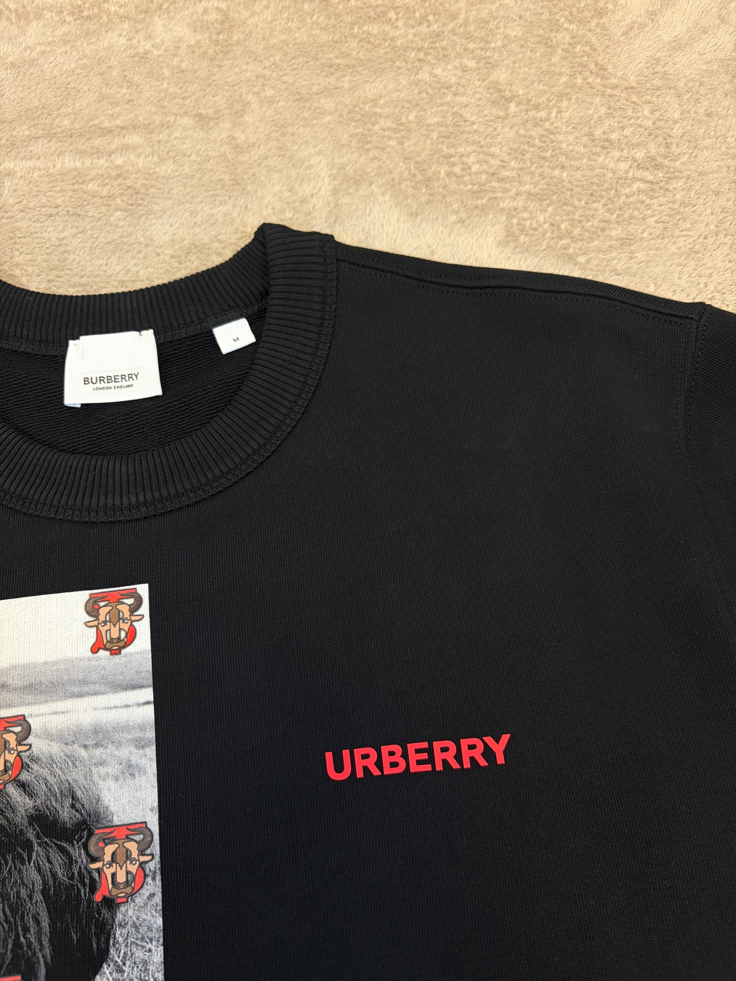 Brand New Burberry Print Sweatshirt