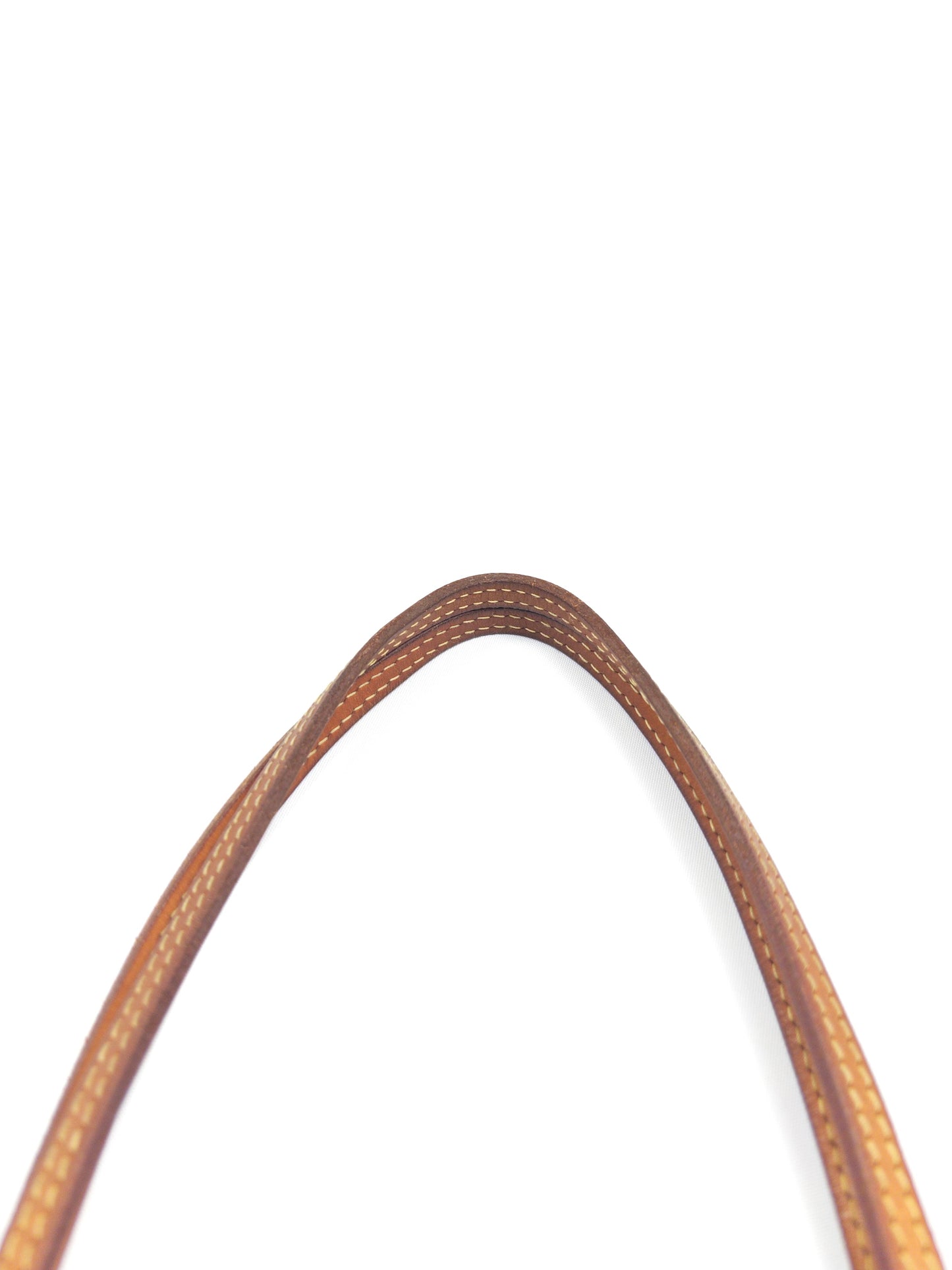 Louis Vuitton Neverfull PM Monogram