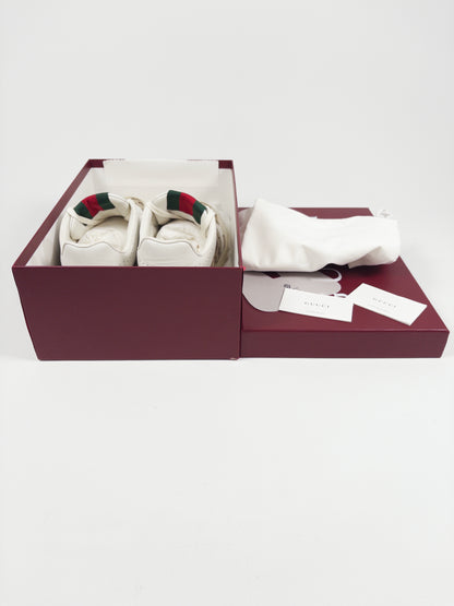 Gucci Re-Web Sneakers (EU 45)