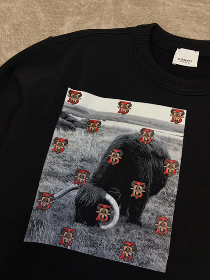 Brand New Burberry Print Sweatshirt